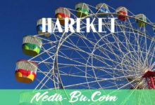 Hareket-nedir-Kavramının-Tanımı-Ve-Hareket-Çeşitleri-Nelerdir