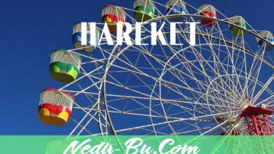 Hareket-nedir-Kavramının-Tanımı-Ve-Hareket-Çeşitleri-Nelerdir