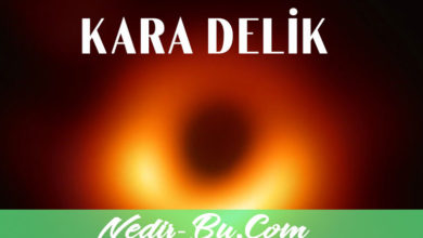 Kara Delik Evrenin Karanlık Kutusu Hakkında Her Şey