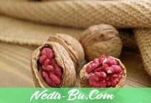 Kırmızı-Ceviz-Nedir-Robert-Livermore-Özellikleri-Ve-Yetiştiriciliği