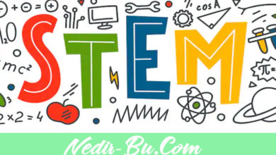 STEM-Nedir--FeteMM-Nedir-Eğitimi-Nasıl-Verilmektedir
