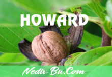 Howard-Cevizi-Nedir-Yetiştirme-Rakımı-Ve-Verim-Bilgileri