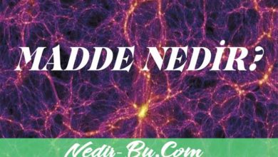 Madde-Kısaca-Nedir-Maddenin-Ayırt-Edici-Özellikleri-Nelerdir