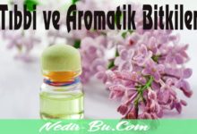 Tıbbi-ve-Aromatik-Bitki-Yetiştiriciliği-Bilgileri-nedir-bu