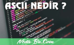 ASCII-Kodları-Nedir-Klavyede-Olmayan-Harflerin-Yazımı