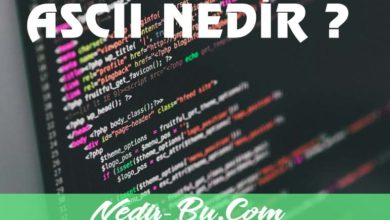 ASCII-Kodları-Nedir-Klavyede-Olmayan-Harflerin-Yazımı
