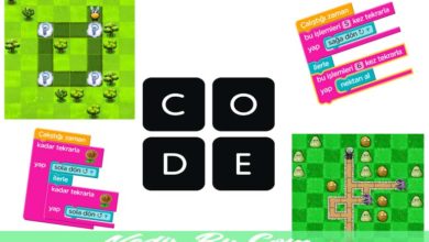 Code.Org-Nedir-Her-Yaş-İçin-Kodlama-Sitesi-Nasıl-Kullanılır