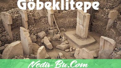 Göbeklitepe-nin-Kısaca-Hikayesi-ve-Nerede-Olduğu-Hakkında