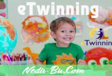 eTwinning-Nedir-Nasıl-Üyeli-Olunur-ve-Faydaları-Nelerdir-nedir-bu