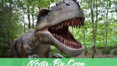 Dinozorların-Nesli-Neden-Tükendi-Kısaca-Ve-Ayrıntılı-Anlatım