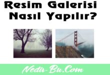 Lightbox-Nedir-Bootstrap-İle-Resim-Galerisi-Nasıl-Yapılır