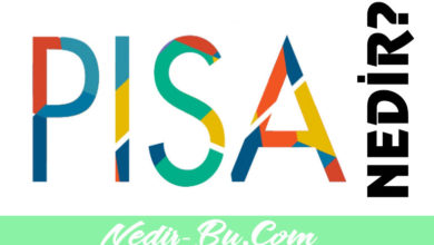 PISA-Nedir-Neyi-Ölçer-Ve-Kaç-Yılda-Bir-Yapılır-Kısa-Bilgiler