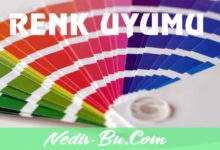 Web-Sitesi-Renk-Uyumu-İçin-Kullanabileceğiniz-Araçlar