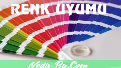 Web-Sitesi-Renk-Uyumu-İçin-Kullanabileceğiniz-Araçlar