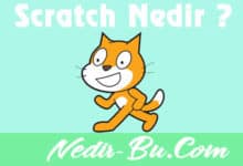 Scratch-Nedir-Ne-İşe-Yarar-ve-Nasıl-Kullanılır