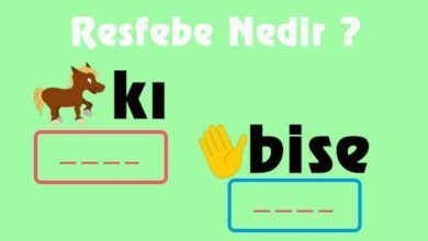 Resfebe-Nedir-Kısaca-Nasıl-Hazırlanır-Ve-Örnekleri