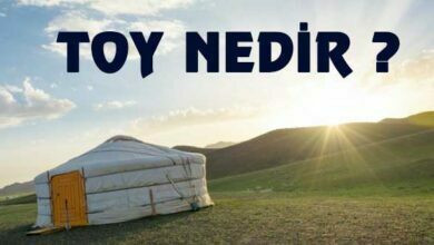 Tarihte-Toy-Nedir-Kısaca-ve-Toylarda-Neler-Yapılırdı