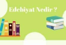 edebiyat-nedir-sozlu-ve-yazili-Edebiyat-nedir-ve-tanimi