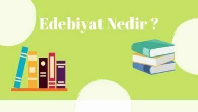 edebiyat-nedir-sozlu-ve-yazili-Edebiyat-nedir-ve-tanimi