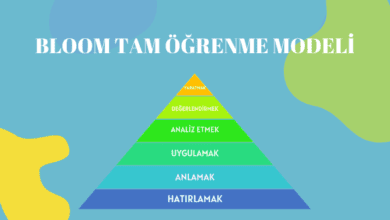 Bloom-tam-ogrenme-modeli-nedir