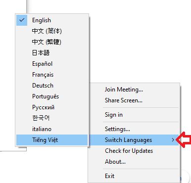 Zoom Türkçe Yapma Bilgisayar