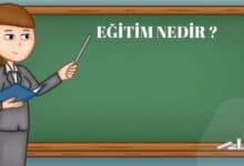 egitim-nedir-turleri-nelerdir