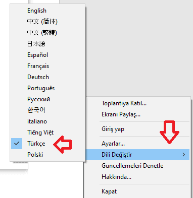 zoom menu turkce dil secme
