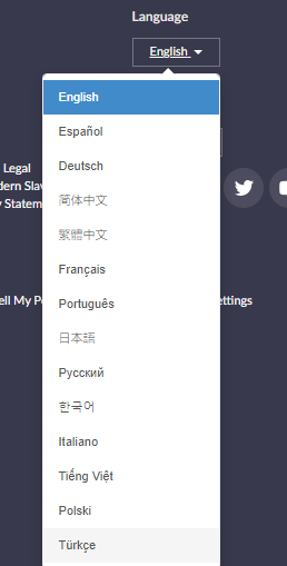 zoom us web sitesi turkce yapma