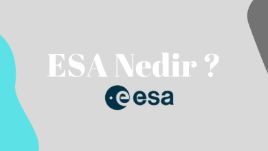 ESA nedir kısaca