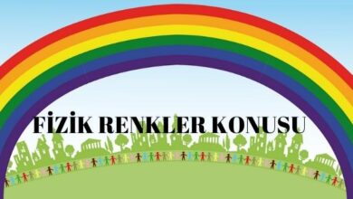Fizik Renkler Konusu Nedir