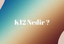 K12 nedir bilişim dersi