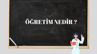 öğretim nedir