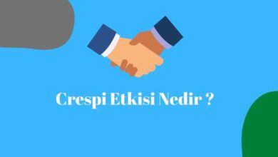 Crespi Etkisi Nedir