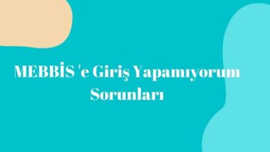 Mebbis Giriş Yapamıyorum 2022