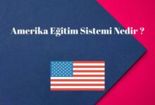Amerika Eğitim Sistemi Nedir