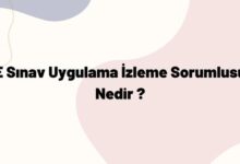 E Sınav Uygulama İzleme Sorumlusu Nedir