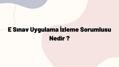 E Sınav Uygulama İzleme Sorumlusu Nedir