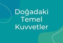 Doğadaki Temel Kuvvetler