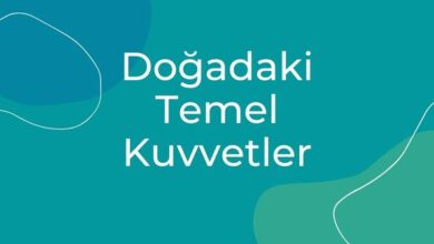 Doğadaki Temel Kuvvetler