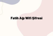 Fatih ağı wifi şifresi