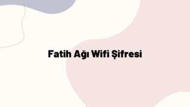 Fatih ağı wifi şifresi