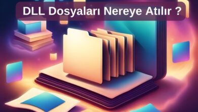 DLL dosyaları nereye atılır