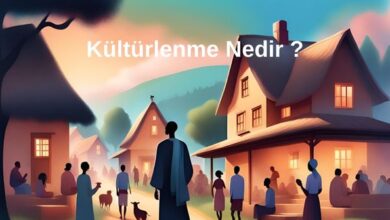 Kültürlenme Nedir
