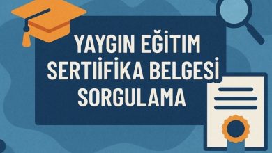 Yaygın Eğitim Sertifika Belgesi Sorgulama