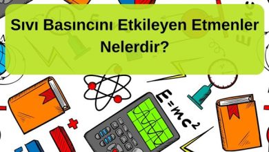 Sıvı Basıncı Nedir